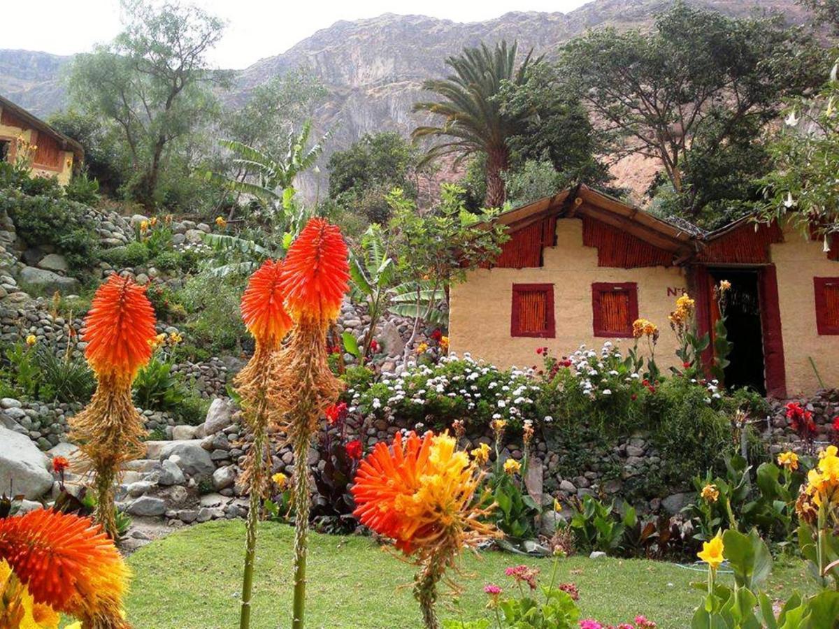 Paraiso Las Palmeras Lodge Cabanaconde Esterno foto