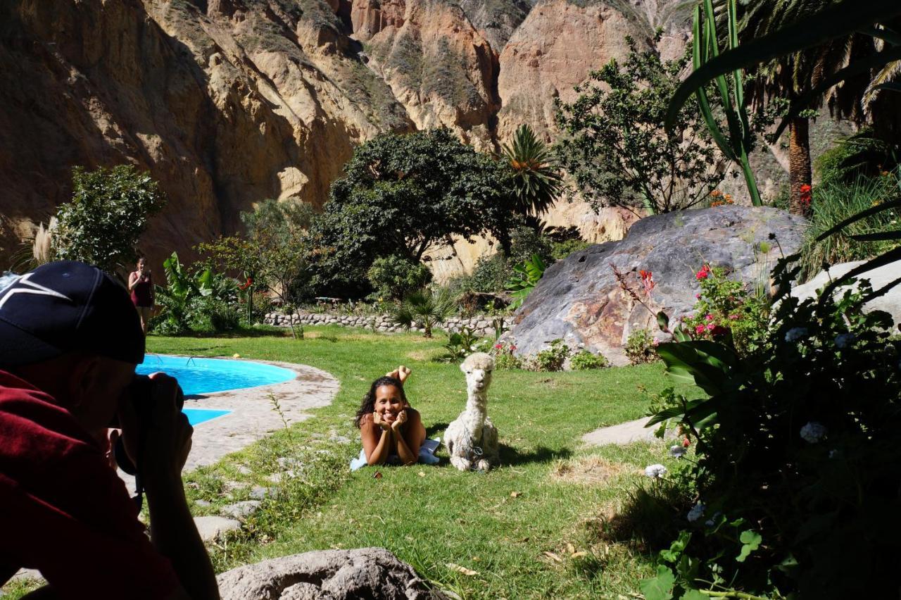 Paraiso Las Palmeras Lodge Cabanaconde Esterno foto