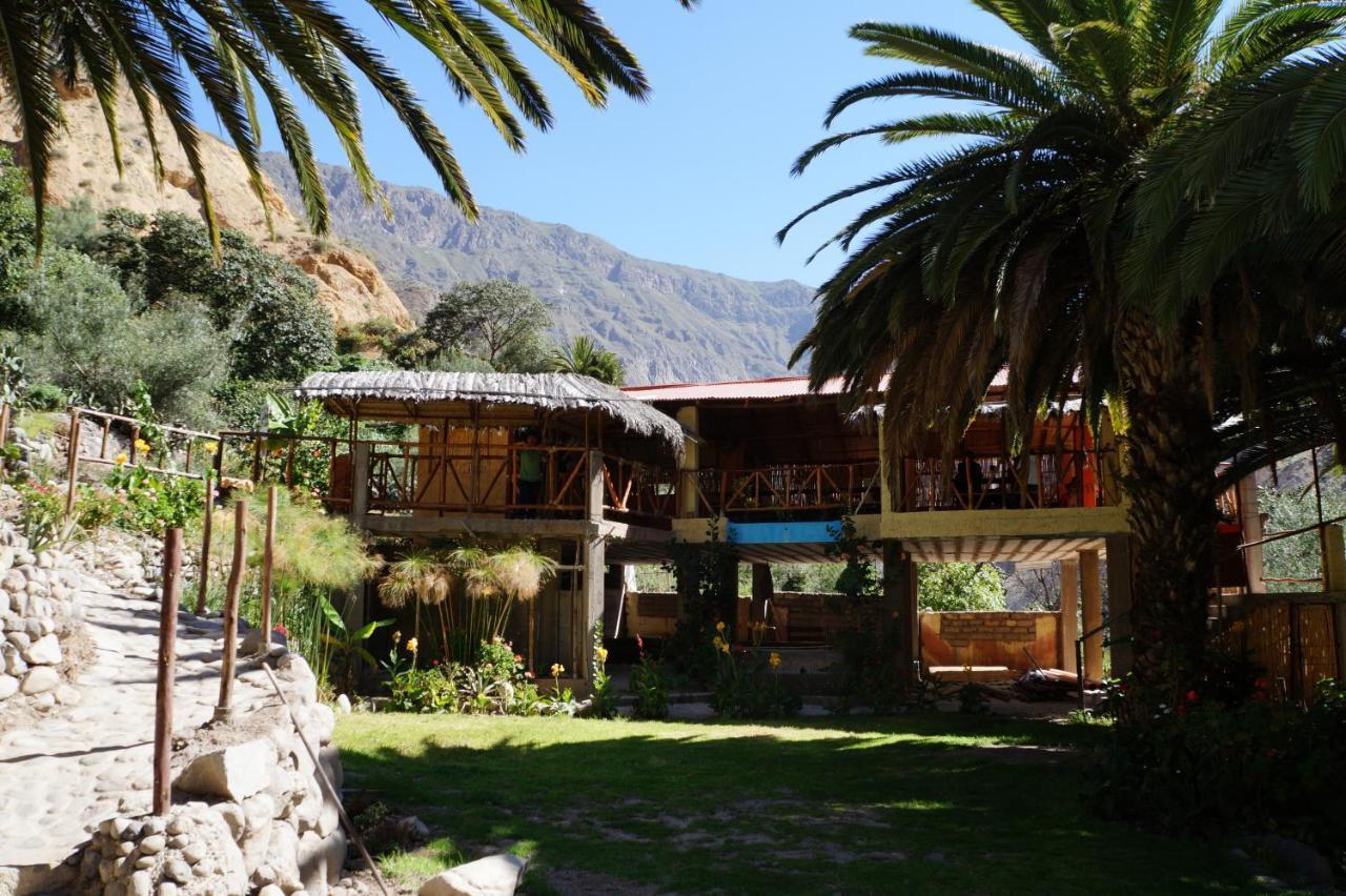 Paraiso Las Palmeras Lodge Cabanaconde Camera foto