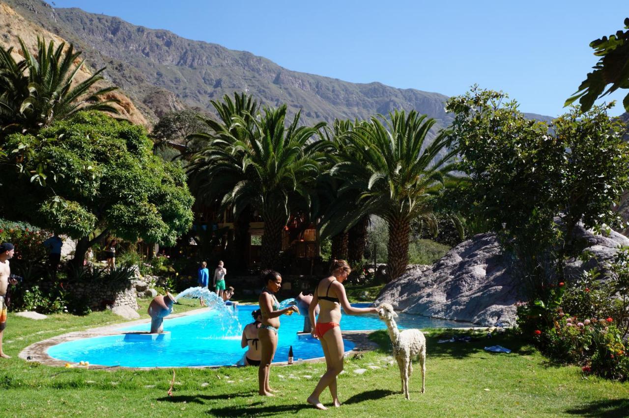 Paraiso Las Palmeras Lodge Cabanaconde Esterno foto