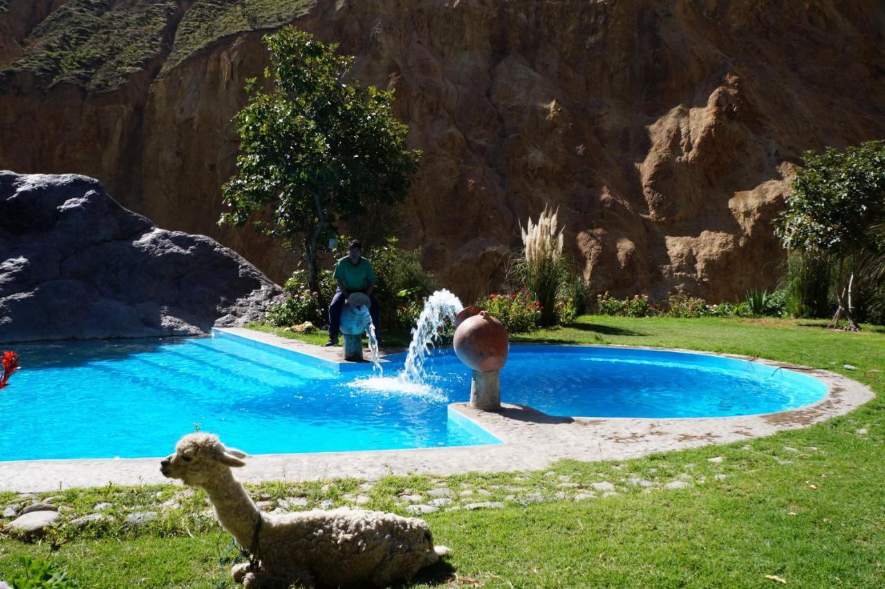 Paraiso Las Palmeras Lodge Cabanaconde Esterno foto