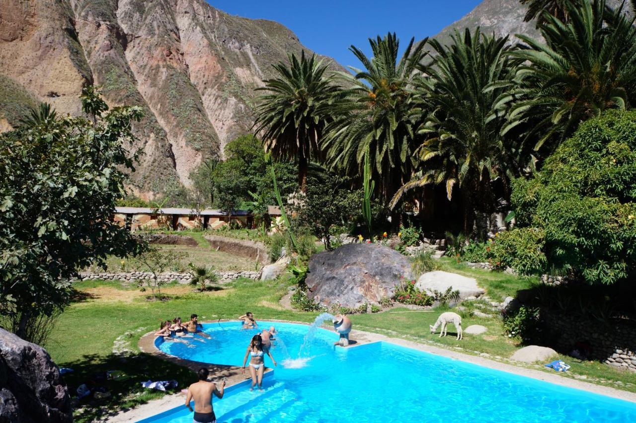 Paraiso Las Palmeras Lodge Cabanaconde Esterno foto